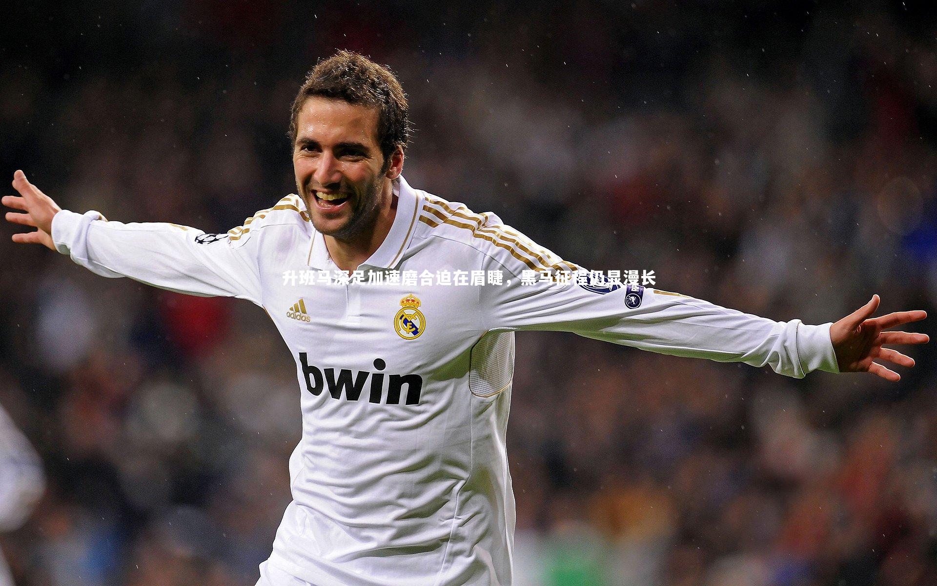 升班马深足加速磨合迫在眉睫,黑马征程仍显漫长